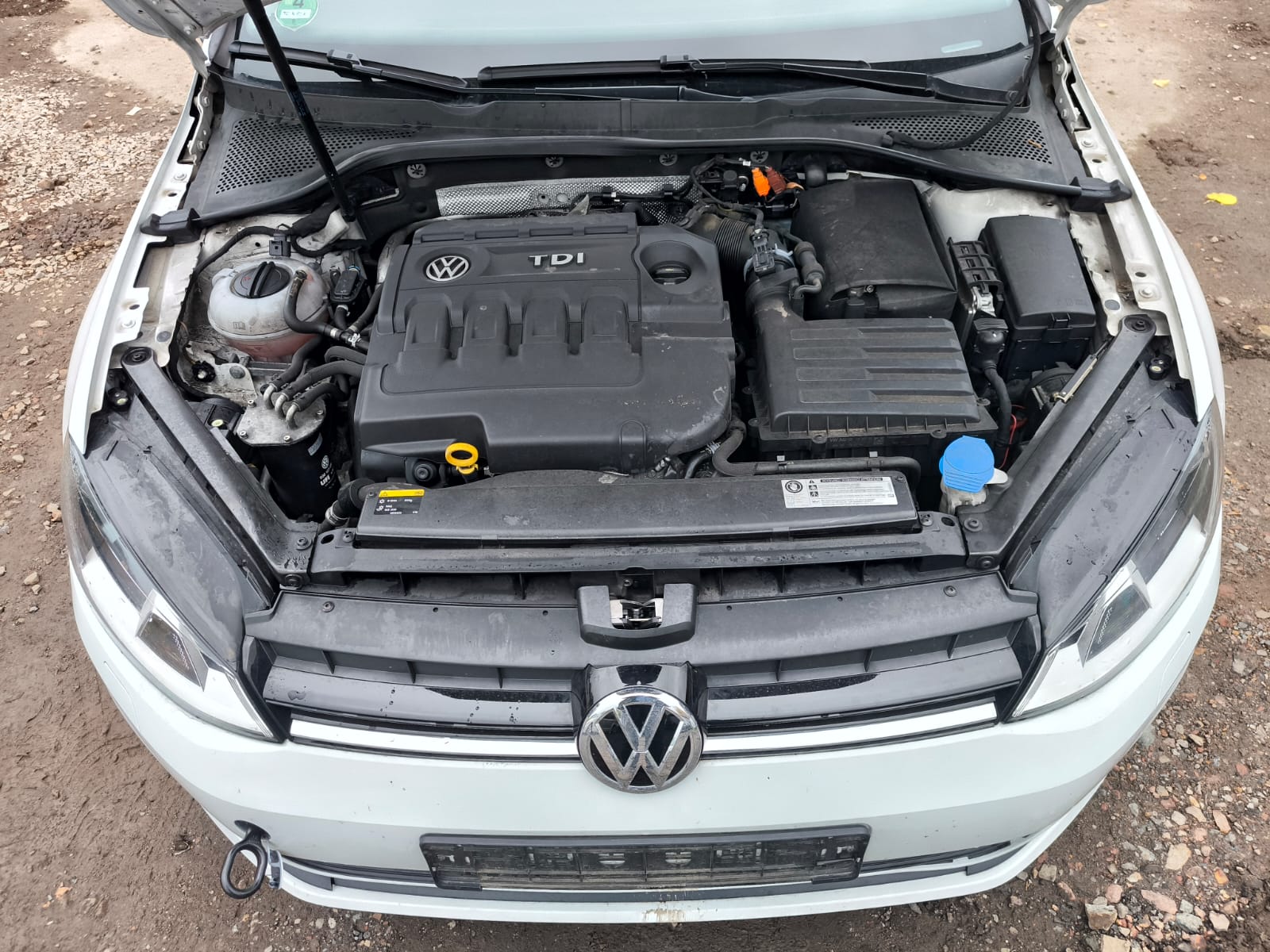 VW Polo TDI mit Getriebeschaden im Motorraumansicht in Celle verkaufen