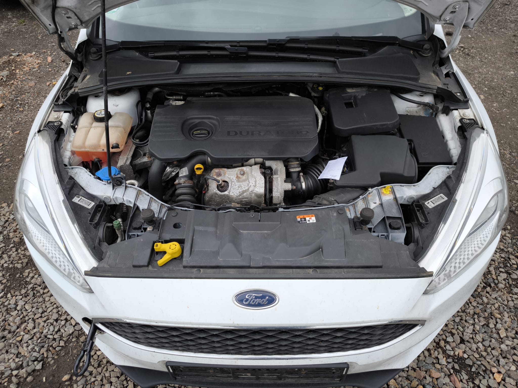 Ford Focus mit geöffnetem Motorraum und Getriebeschaden in Cuxhaven verkaufen
