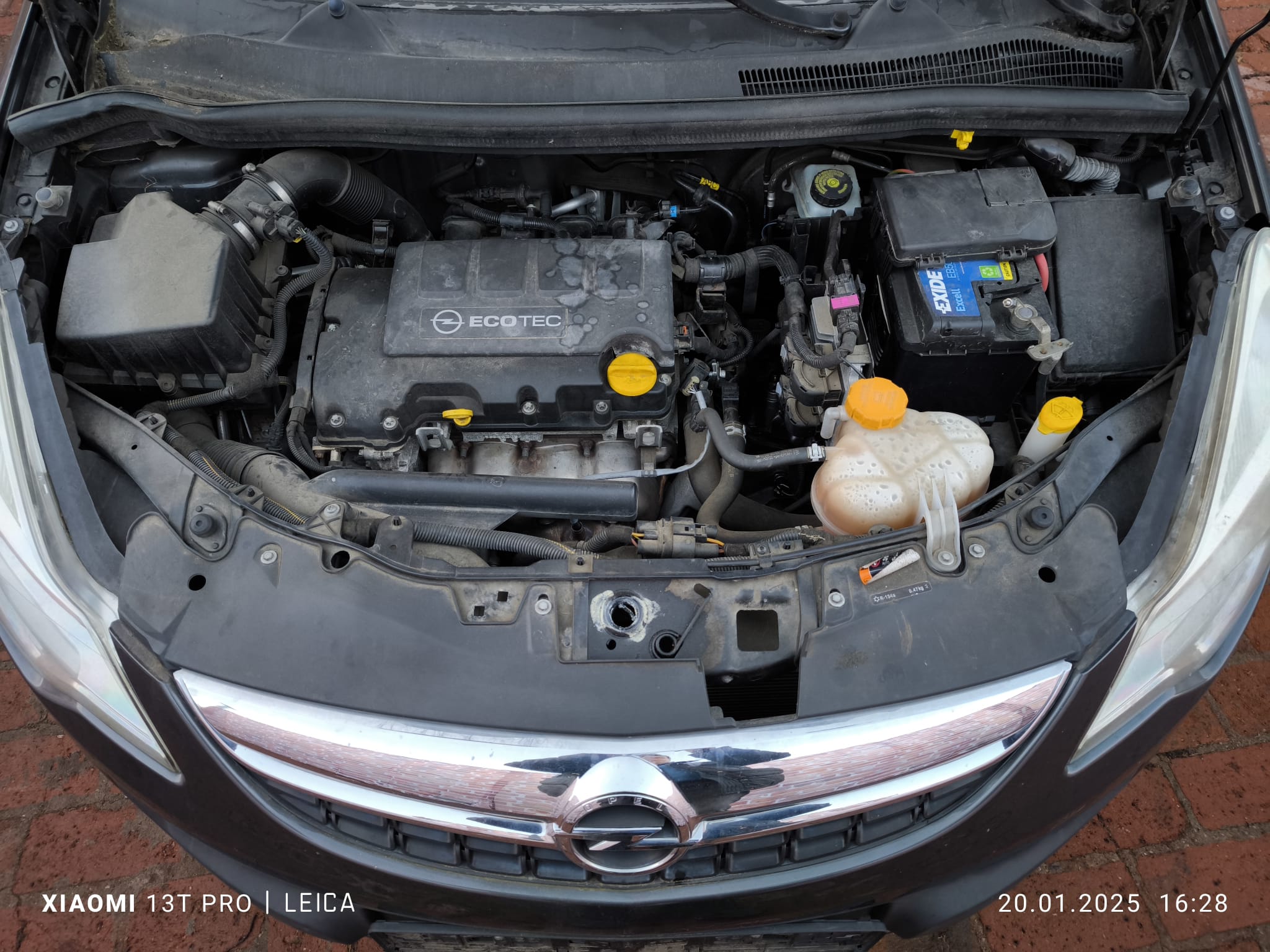 Opel mit Ecotec Motorraum mit Motorschaden in Jena verkaufen