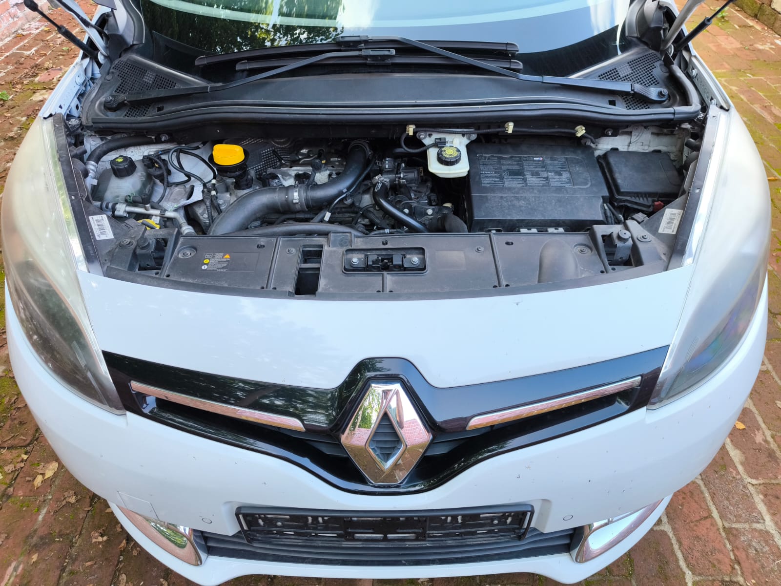 Renault mit Motorschaden in Köln mit geöffneter Motorhaube für Auto verkaufen und Bewertung