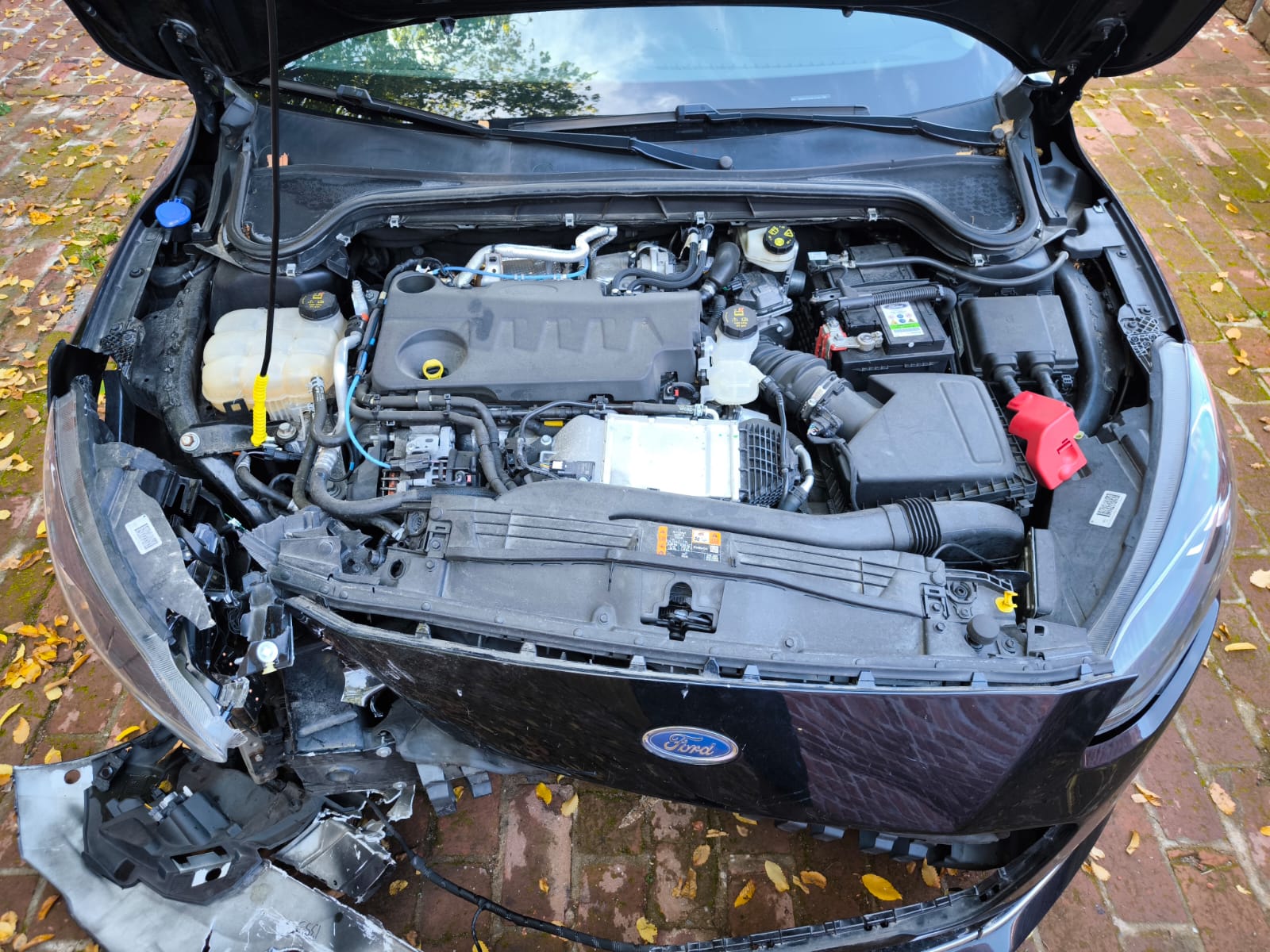 Beschädigter Ford mit starkem Frontschaden am Motorraum nach Unfall in Lahr jetzt als Unfallwagen verkaufen