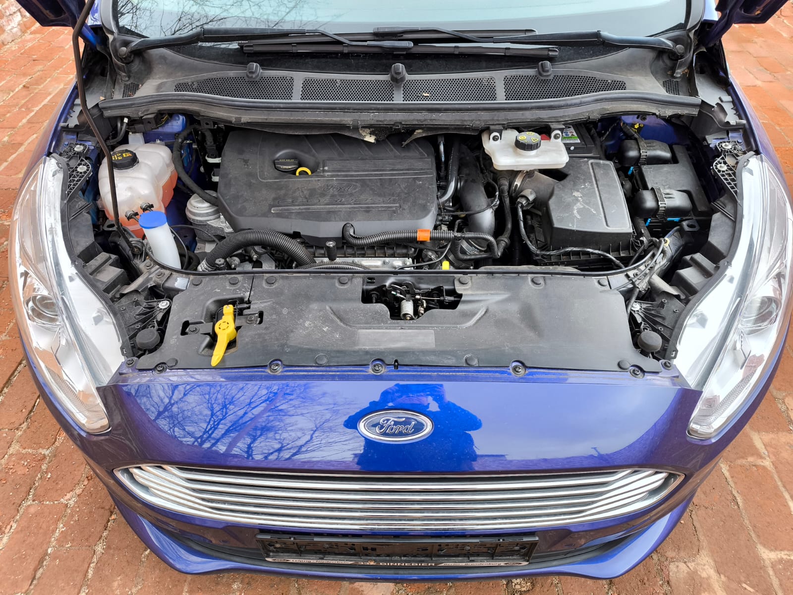 Blauer Ford Fiesta Motorraum mit Motorschaden in Lampertheim verkaufen