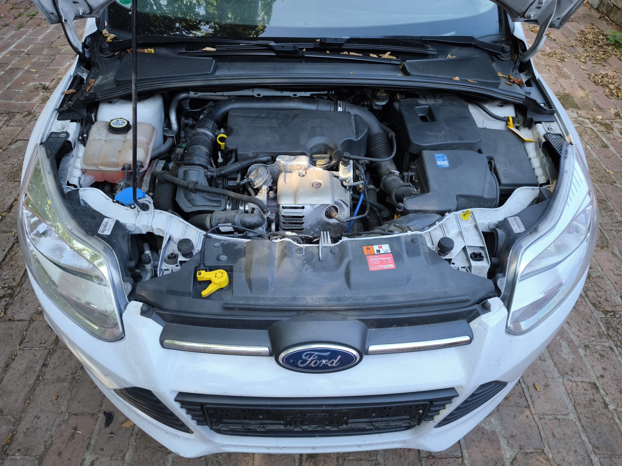 Ford Focus mit geöffnetem Motorraum nach Verkauf mit Getriebeschaden in Mannheim