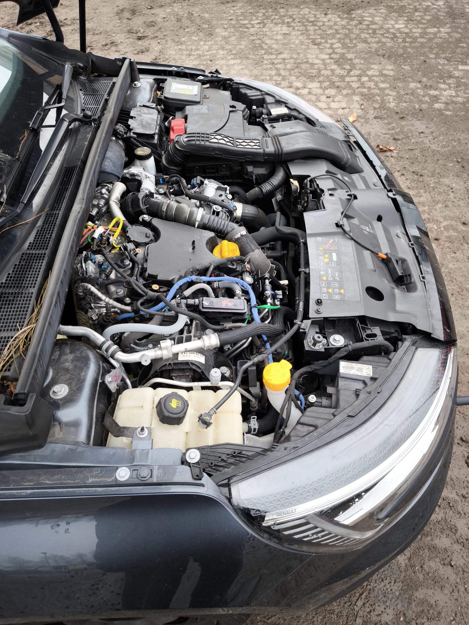 Renault mit geöffnetem Motorraum nach Motorschaden in Melle für schnellen Autoverkauf
