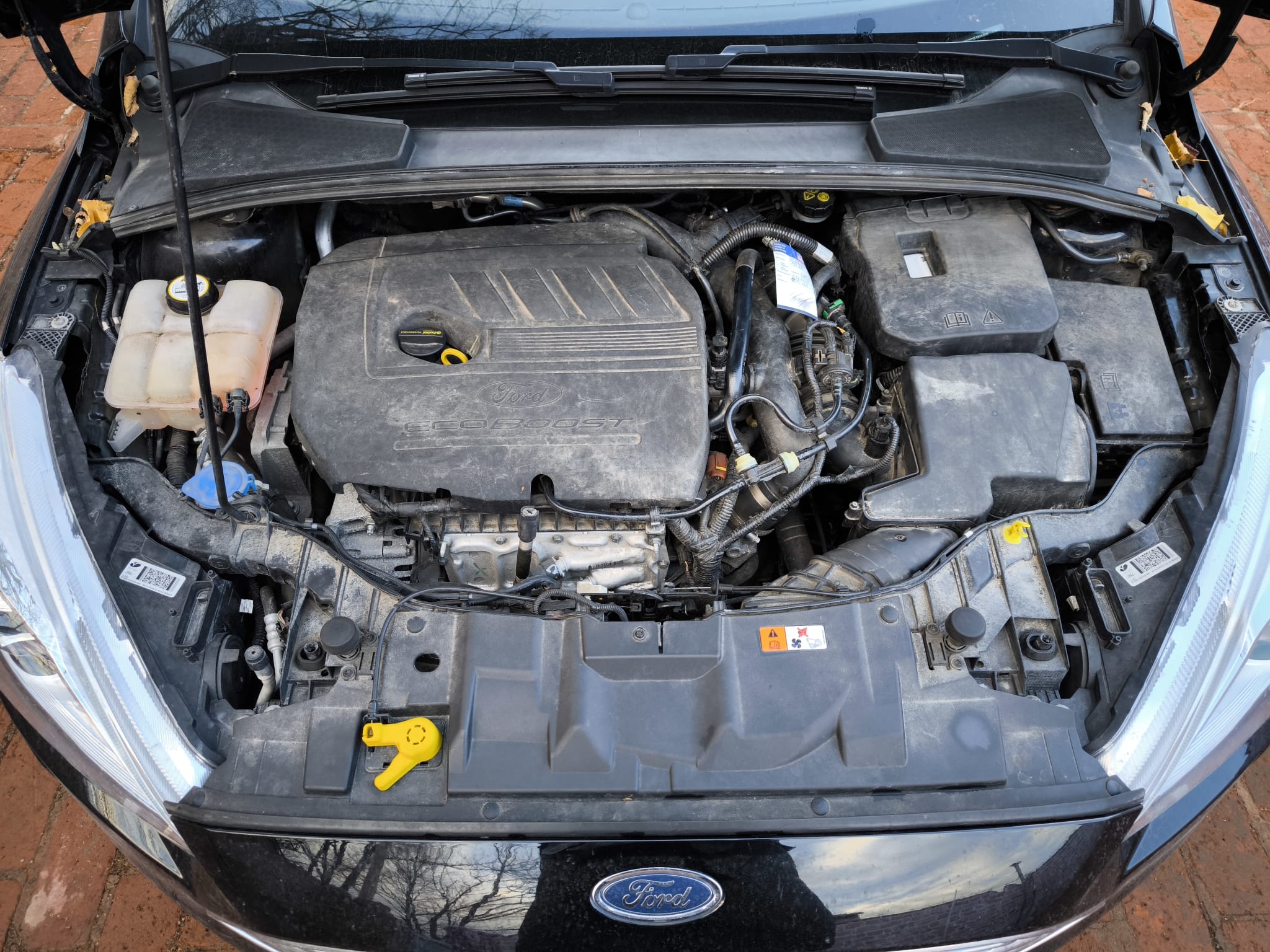 Ford mit Ecoboost Motorraum in Münster mit Getriebeschaden unkompliziert verkaufen