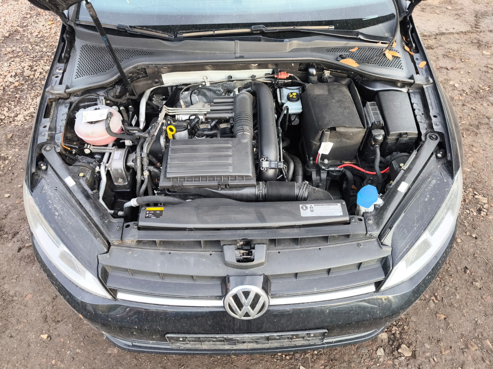 Volkswagen Passat mit Getriebeschaden im geöffneten Motorraum in Oberursel verkaufen