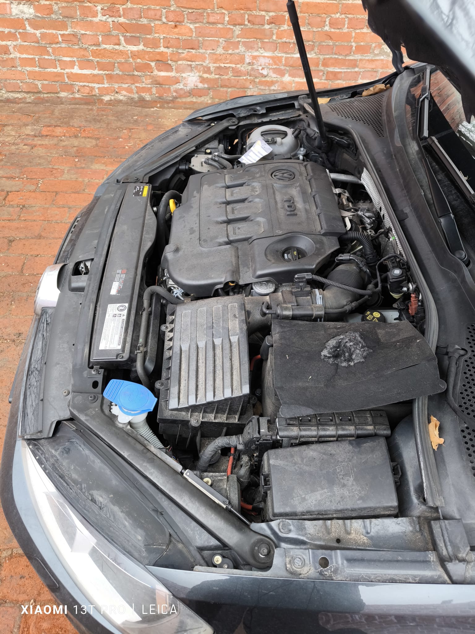 Volkswagen Diesel mit Motorschaden im Motorraum in Rodgau verkaufen