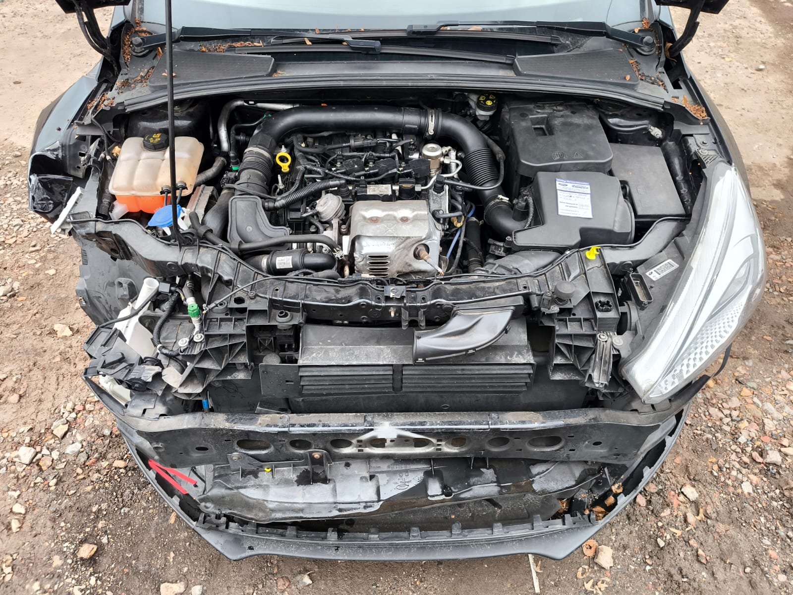 Unfallwagen mit stark beschädigter Front in Rostock für sicheren Verkauf nach Unfall