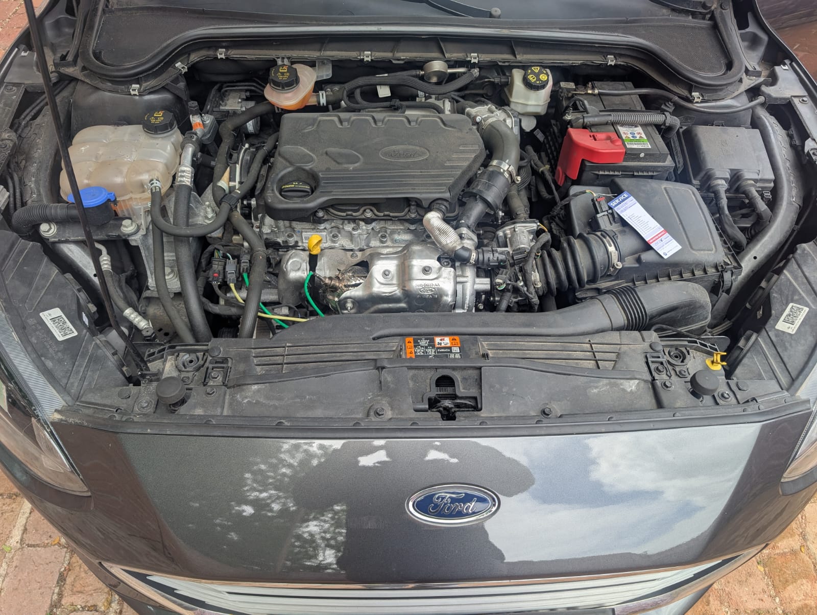 Ford Motorraum mit Motorschaden in Schwäbisch Hall verkaufen