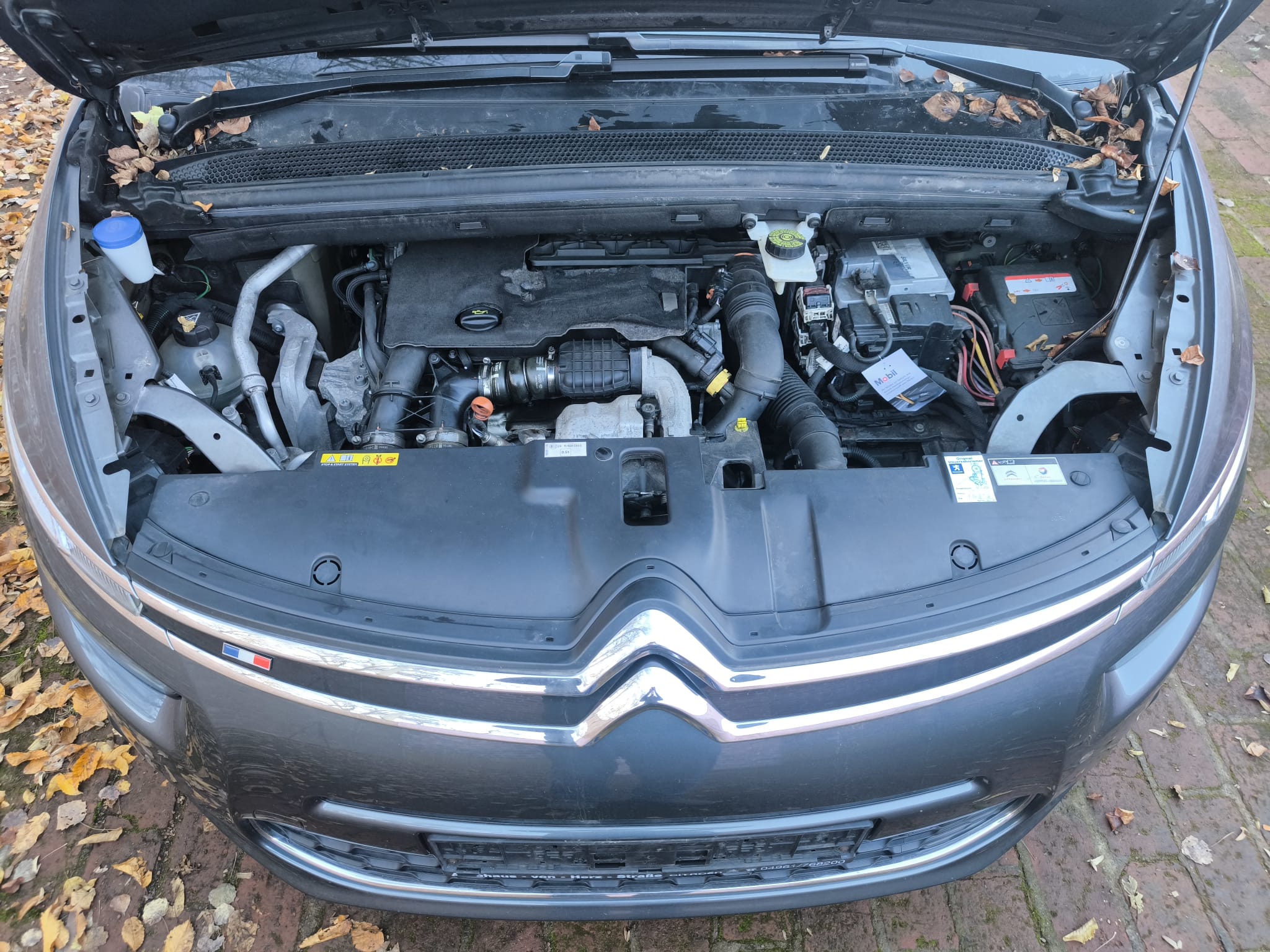 Citroën Motorraum mit möglichem Getriebeschaden in Straubing für unkompliziertes Auto verkaufen