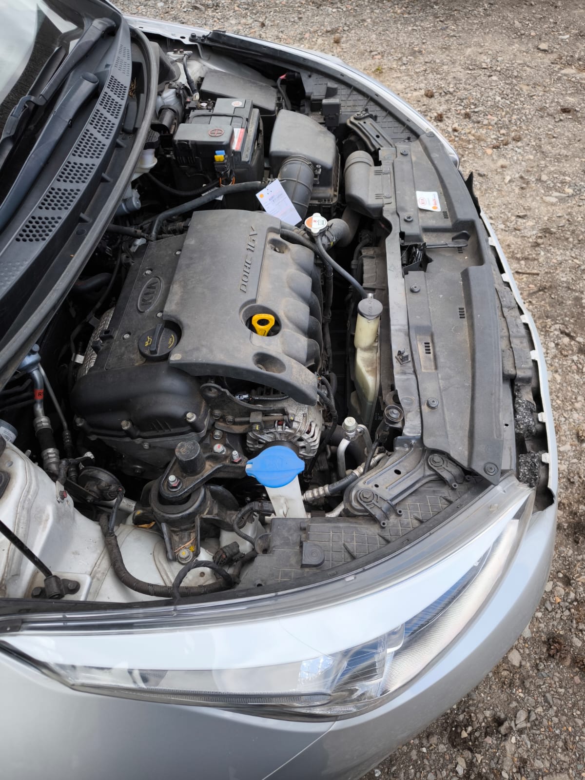 Defekter Benzin Motorraum eines gebrauchten Autos in Unna verkaufen bei Motorschaden