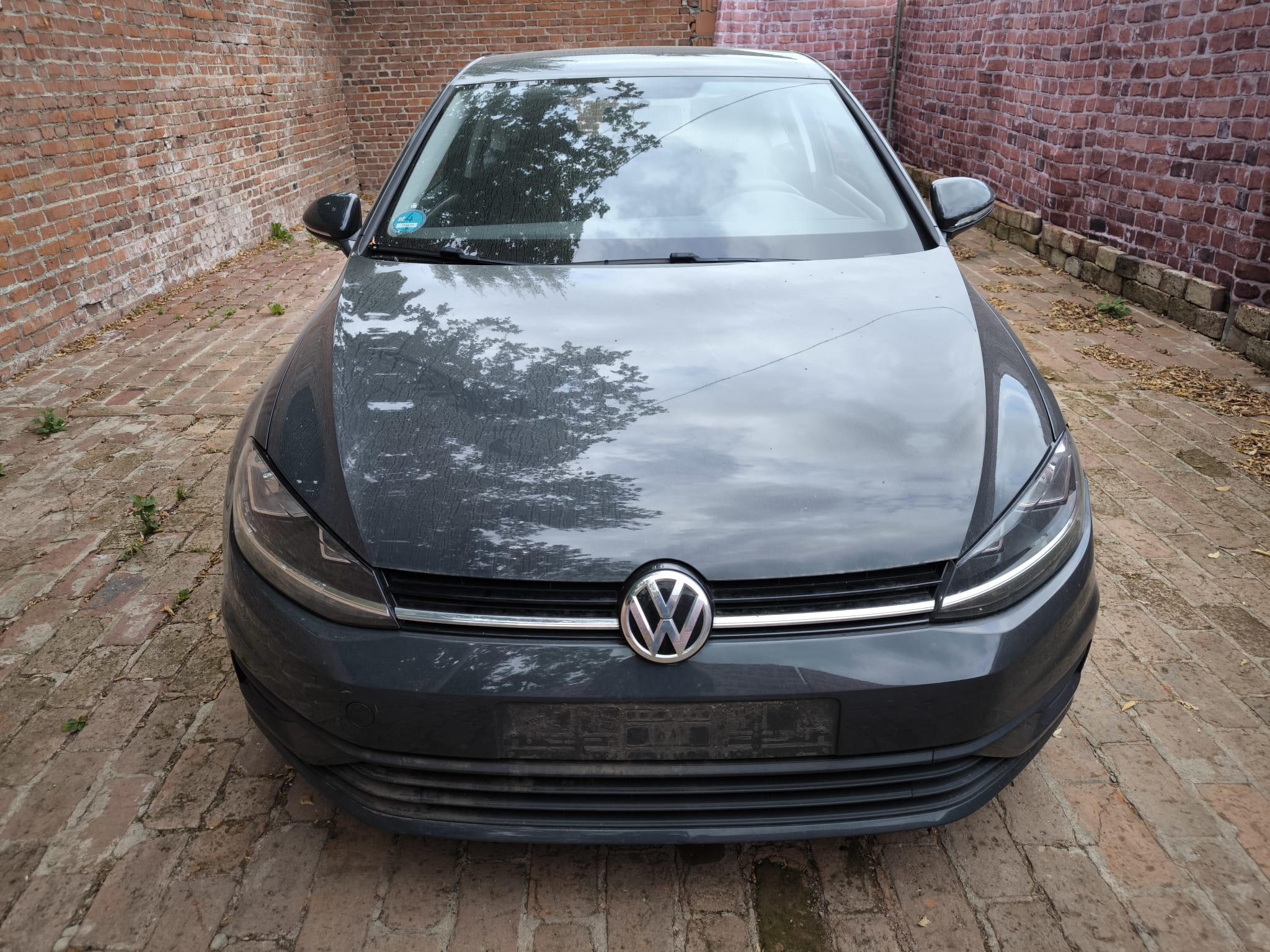 Gebrauchten VW Golf mit Motorschaden in Wittenberg verkaufen