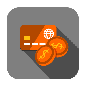 Skoda Verkauf Optionen der Zahlung Icon