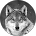 Profilbild von Maik Engler