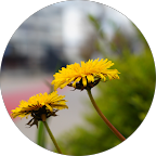 Profilbild von Sebastian “Fenja & Basti” Eggebrecht