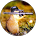 Profilbild von Andre Georg