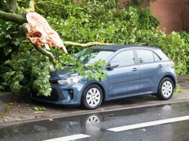 Geparktes Auto Sturmschaden durch Baum